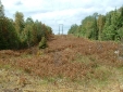 HYDRO aerial 2003 024.jpg
